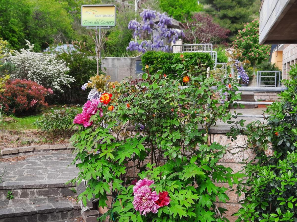 Fiori del Conero Ancona Exterior foto
